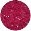 Pomegranate Power Craft Glitter 